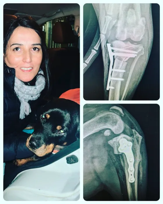 Nikki viene de Coyhaique