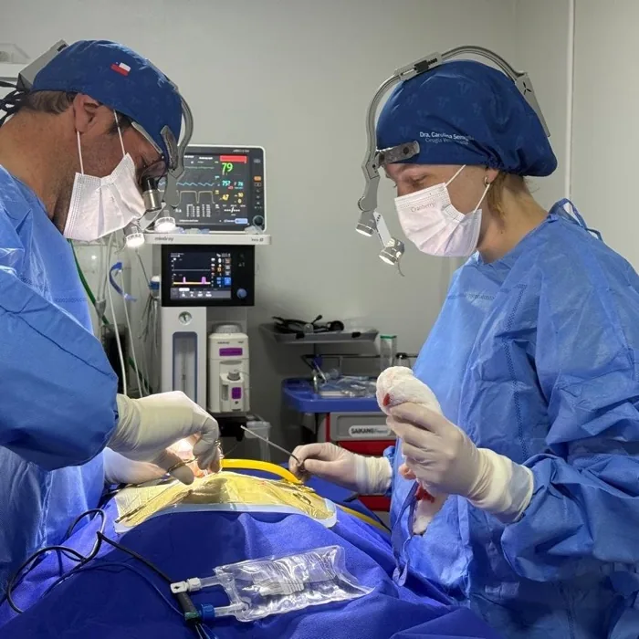 Equipo Surgyvet en cirugía